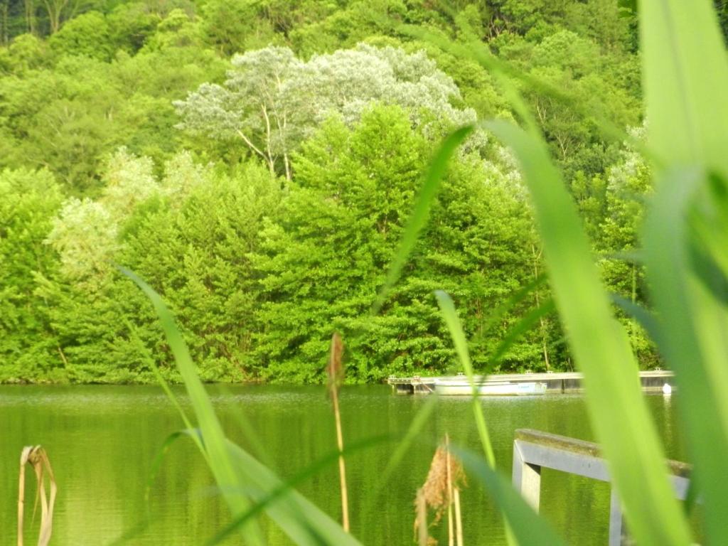 Gite Les Platanes Sainte-Helene-du-Lac Buitenkant foto
